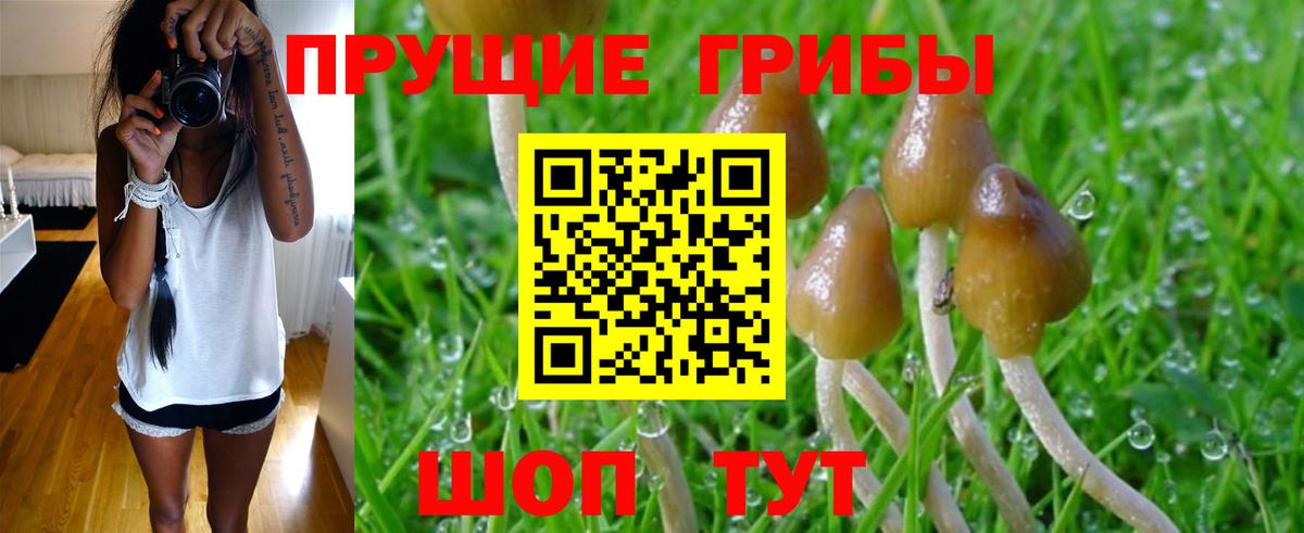 Галлюциногенные грибы Magic Shrooms Янаул