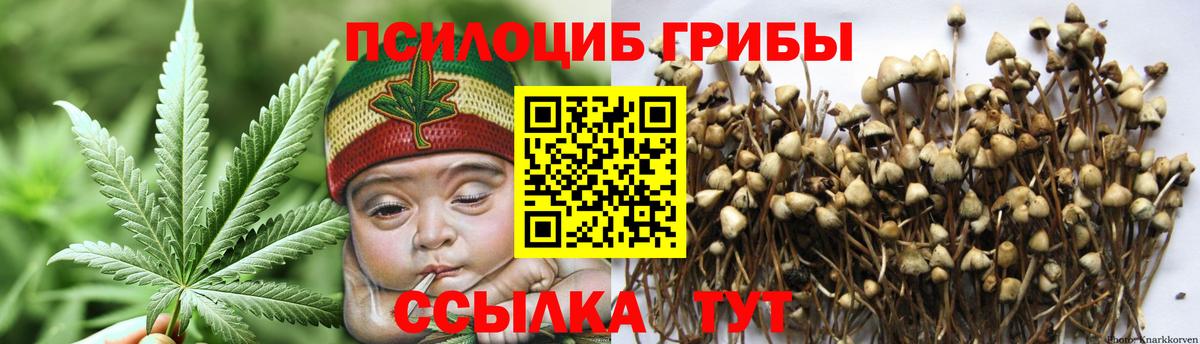 Псилоцибиновые грибы ЛСД  Вход с VPN  Янаул 